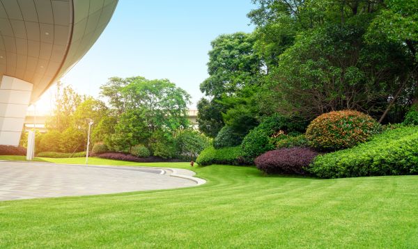 Cost of Commercial Lawn Mowing in Saint George