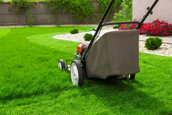 Cost of Home Yard Maintenance in Saint George