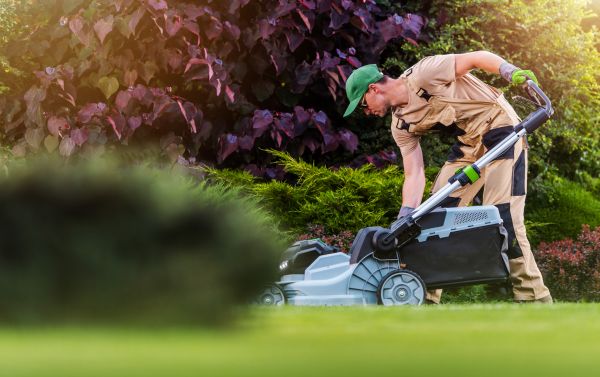 Cost of Lawn Care And Maintenance in Saint George