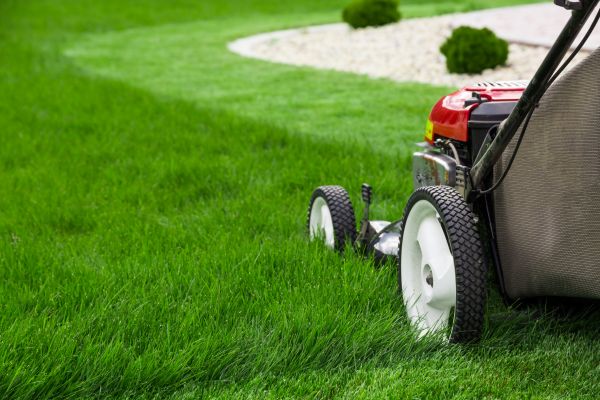 Cost of Mowing Service in Saint George