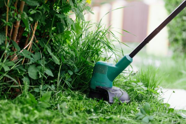 Cost of Weed Whacking in Saint George
