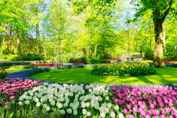 Cost of Spring Lawn Care in Saint George