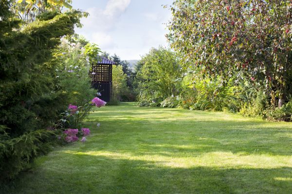 Cost of Yard Upkeep Service in Saint George