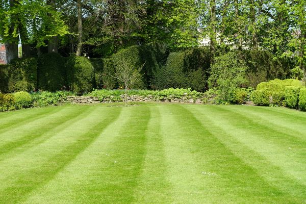 Cost of Grass Care Service in Saint George