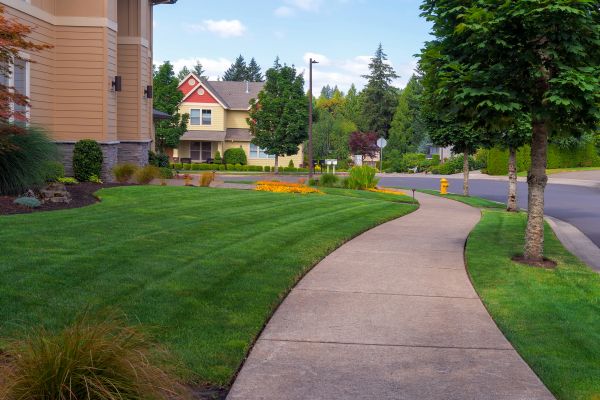 Cost of Home Lawn Maintenance in Saint George