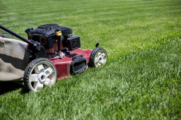 Cost of Routine Lawn Care in Saint George