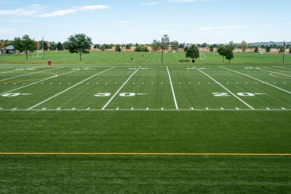 Cost of Groundskeeping Service in Saint George