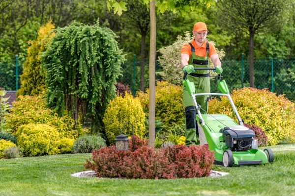 Cost of Commercial Yard Maintenance in Saint George