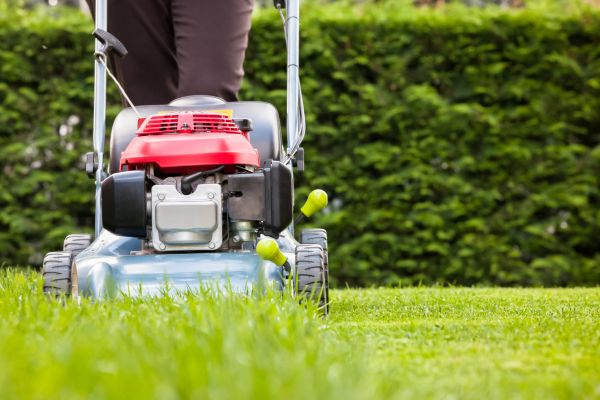 Cost of Grass Trimming Service in Saint George