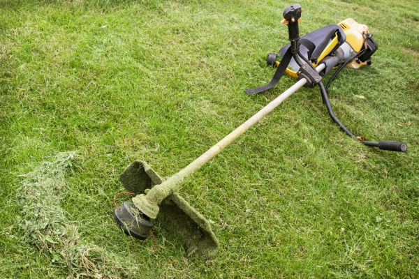 Cost of Hillside Weed Whacking in Saint George
