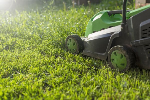 Cost of Lot Mowing in Saint George
