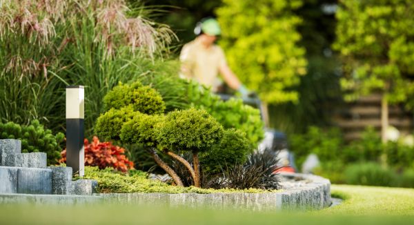 Cost of Residential Yard Maintenance in Saint George