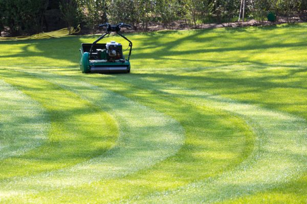 Cost of Business Lawn Mowing in Saint George