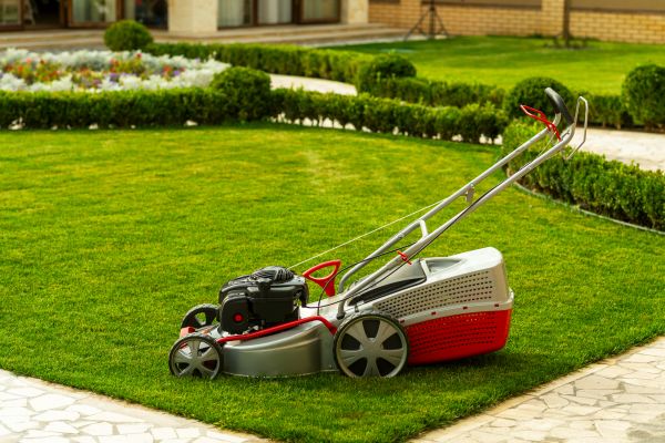 Cost of Business Grass Cutting in Saint George