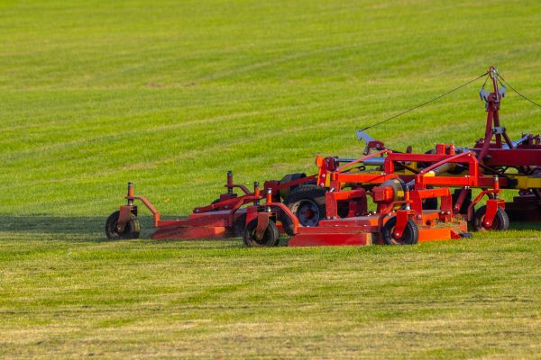 Cost of Industrial Lawn Service in Saint George