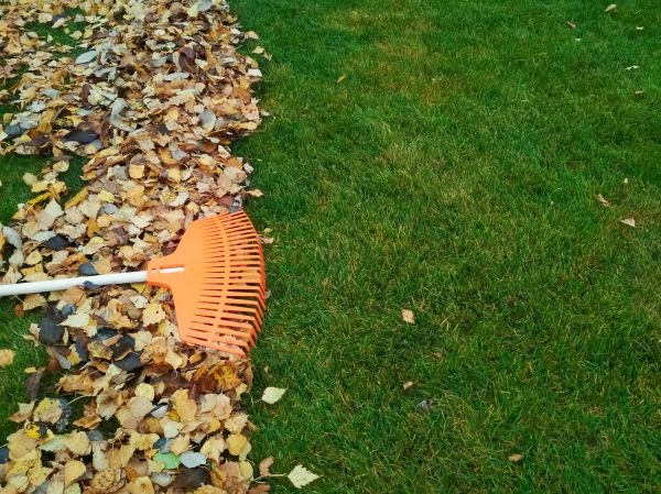 Cost of Fall Lawn Care in Saint George