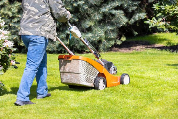 Cost of Springtime Lawn Care in Saint George