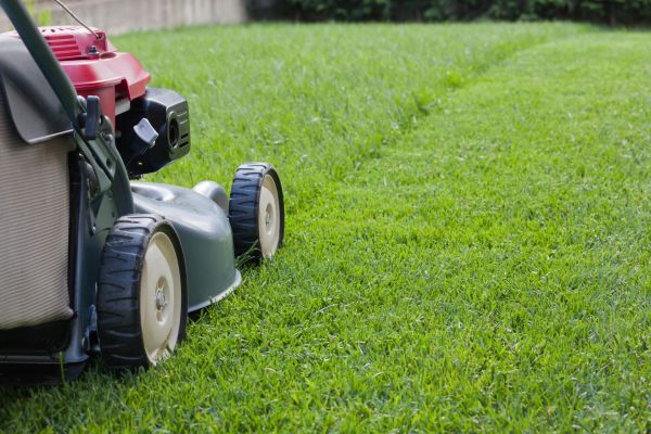 Cost of Spring Lawn Maintenance in Saint George