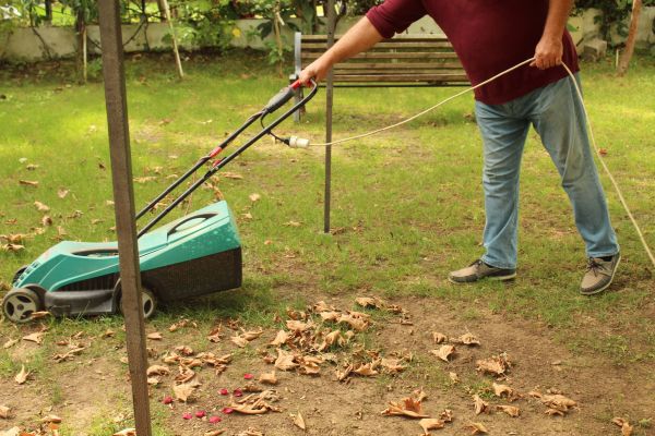 Cost of Leaves Mowing in Saint George