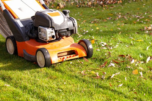Cost of Fall Mowing in Saint George