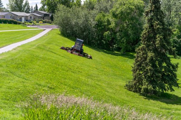 Cost of Sloped Area Mowing in Saint George