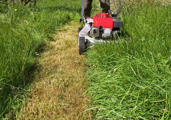 Cost of Leaf Mowing in Saint George
