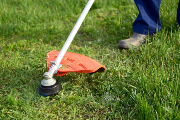 Cost of Lawn Weed Whacking in Saint George