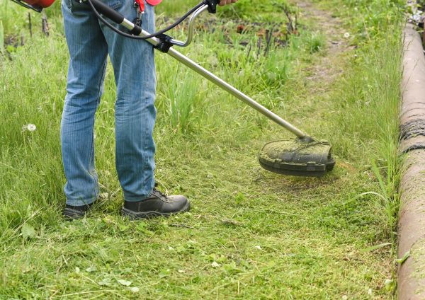 Cost of Tall Grass Trimming in Saint George