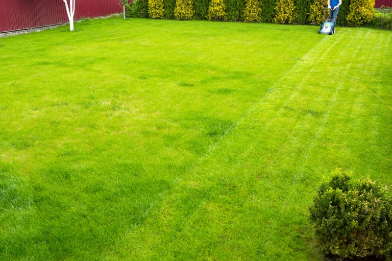 Commercial Lawn Care
