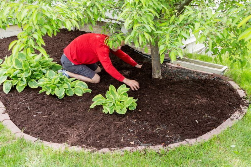 Mulched Leaves in Garden Bed