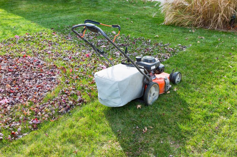 Spring Lawn Service